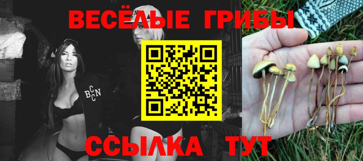 Заринск  хочу наркоту  Вход с VPN  Галлюциногенные грибы Magic Shrooms 