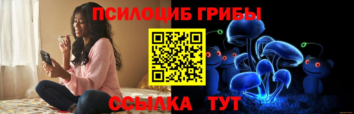 Галлюциногенные грибы Psilocybine cubensis Заринск